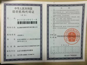 從一萬到三十萬的躍遷 揭秘北京信息技術(shù)咨詢服務(wù)的財(cái)富密碼